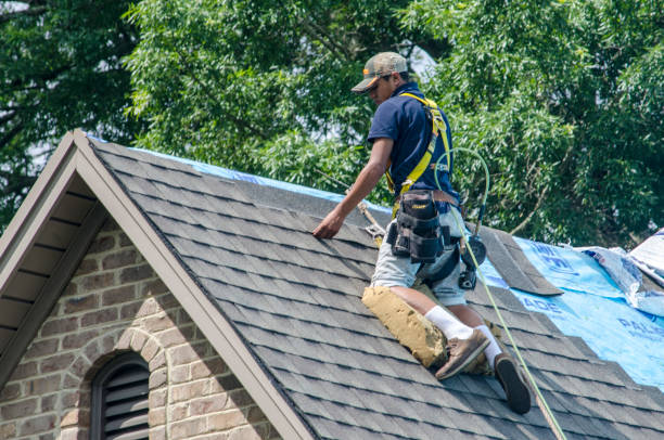 Best New Roof Installation  in Russiaville, IN